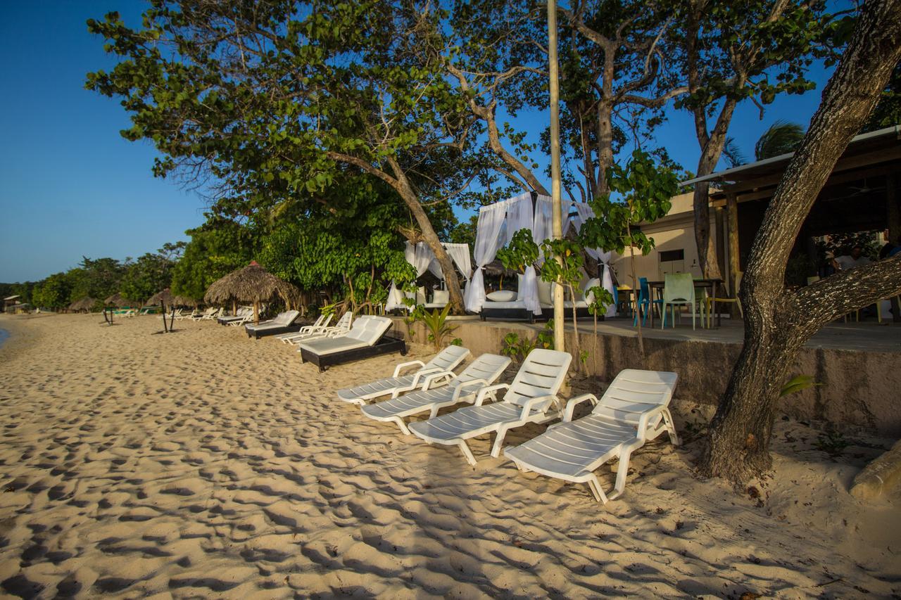 Paradise Island Beach Resort ปุนตารูเซีย ภายนอก รูปภาพ